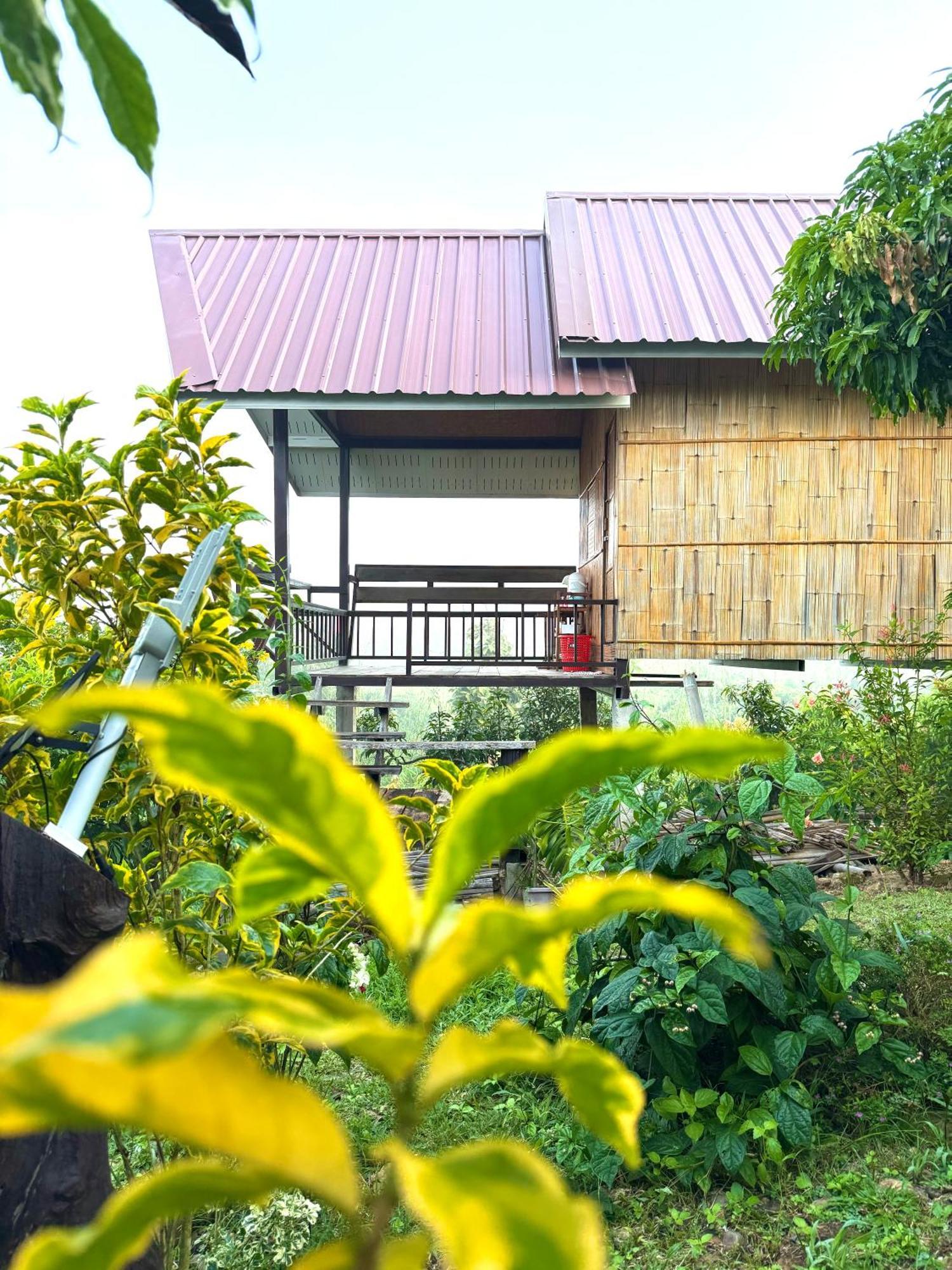 Doicherngngam Home Stay Chiang Dao Dış mekan fotoğraf